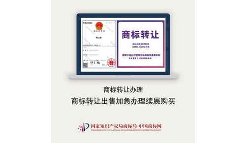 伊寧商標(biāo)注冊代理服務(wù)選擇指南 如何找到靠譜的代理公司